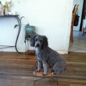 Meet your Posher, Melissa